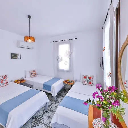 Homestay Dantel Butik Ev
